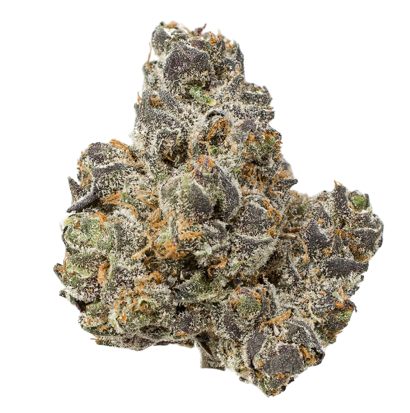 APPLEFRITTER 28% THCA