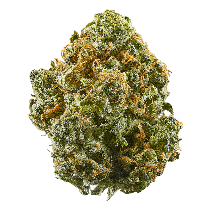 SOUR DIESEL 24% THCA